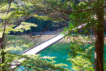 Parque Nacional los Alerces